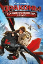 Постер к мультфильму «Драконы: Гонки бесстрашных. Начало»